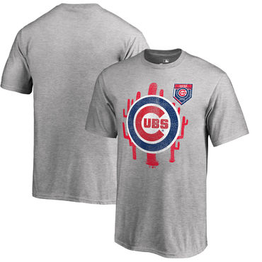 Chicago Cubs 2018 MLB Spring Training Vintage T Shirt Heather Gray
