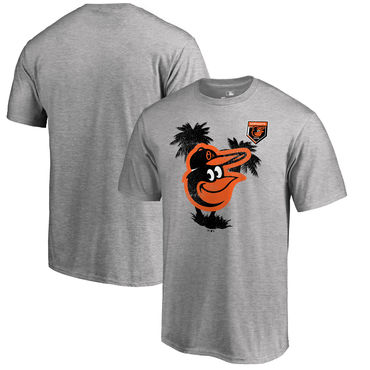 Baltimore Orioles 2018 MLB Spring Training Vintage T Shirt Heather Gray