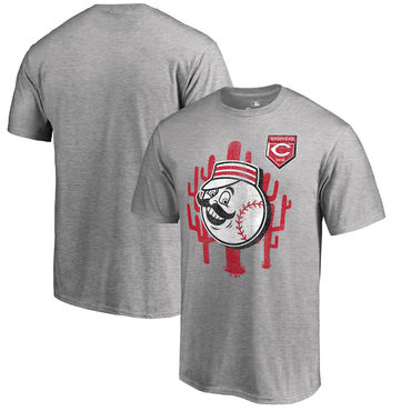 Cincinnati Reds 2018 MLB Spring Training Vintage T Shirt Heather Gray