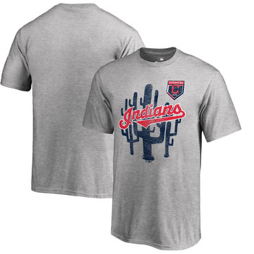 Cleveland Indians 2018 MLB Spring Training Vintage T Shirt Heather Gray
