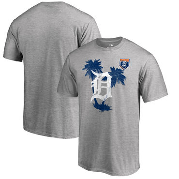 Detroit Tigers 2018 Spring Training Vintage Big & Tall T Shirt Heather Gray