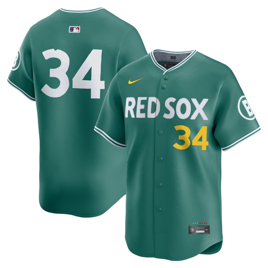 Men's Boston Red Sox #34 David Ortiz Nike 2025 City Connect Limited Retired Player Jersey - Green