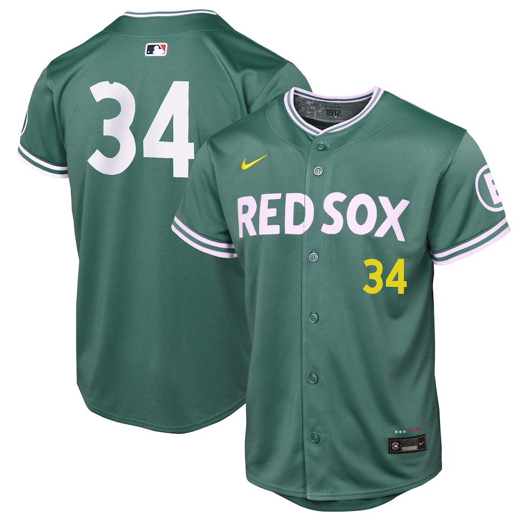 Youth Boston Red Sox #34 David Ortiz Nike 2025 City Connect Limited Retired Player Jersey - Green