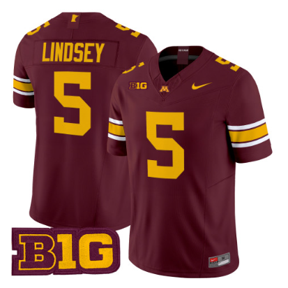 Minnesota Golden Gophers #5 Drake Lindsey 2026 Vapor Limited Jersey Maroon - All Stitched